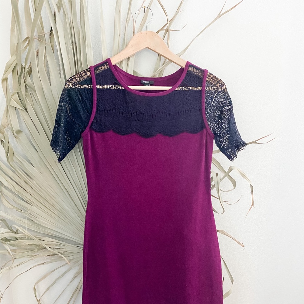 Plum Ann Taylor Dress
